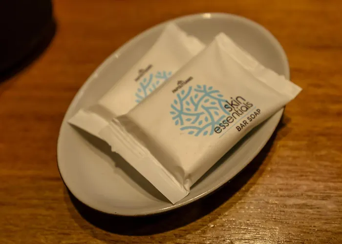 公寓式酒店 Nastram 伊亚